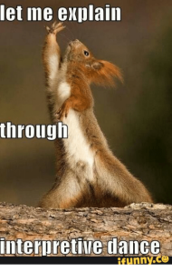 Photo of a squirrel in a very funny dramatic looking pose. The superimposed script says: Let me explain through interpretive dance